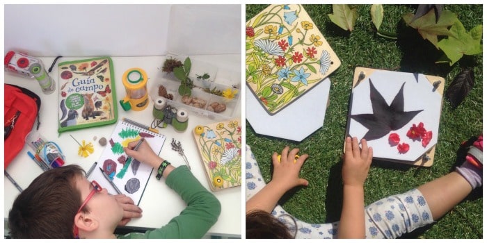 guia definitiva usando carton en tu jardin