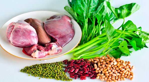 hongos una buena fuente de hierro vegetal
