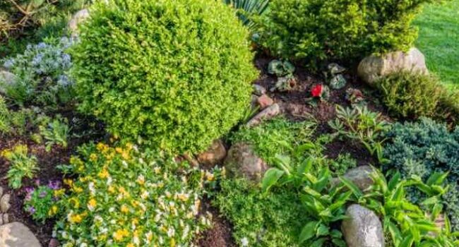 jardin boscoso de bajo mantenimiento crea un oasis natural en tu patio