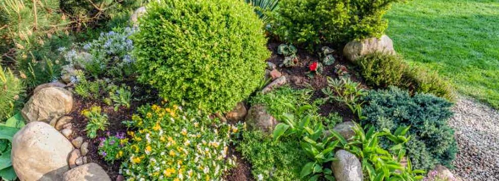 jardin boscoso de bajo mantenimiento crea un oasis natural en tu patio