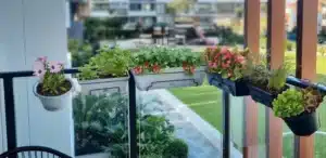 jardin de verduras en balcon guia completa para cultivar en espacios pequenos