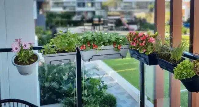 jardin de verduras en balcon guia completa para cultivar en espacios pequenos