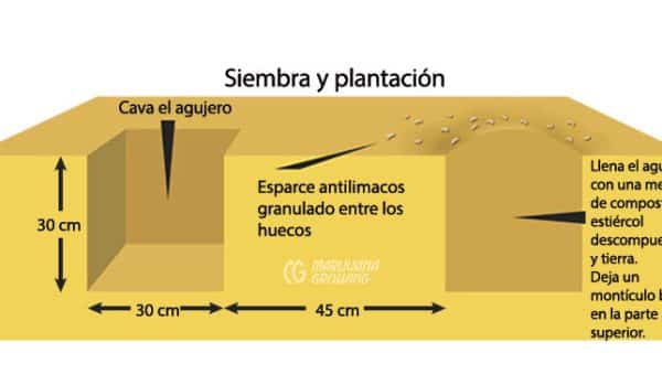 jardineria en zonas usda 9 a 11 guia para climas calidos