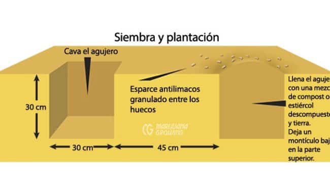 jardineria en zonas usda 9 a 11 guia para climas calidos