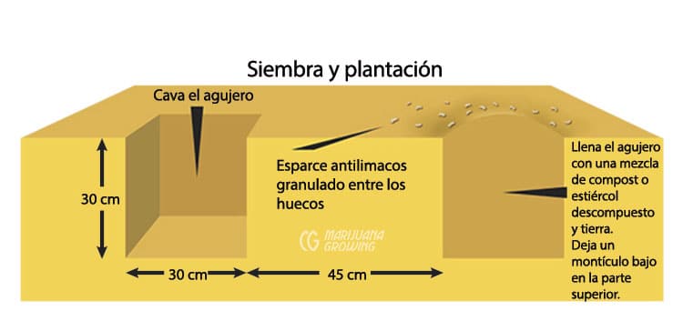 jardineria en zonas usda 9 a 11 guia para climas calidos