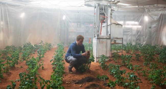 jardines de la victoria cultivando el futuro huerto a huerto