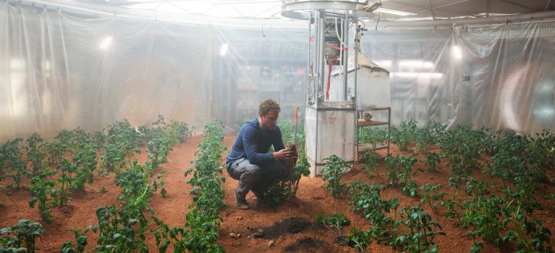 jardines de la victoria cultivando el futuro huerto a huerto