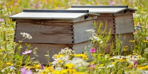 limpieza de primavera en el jardin protege a los polinizadores