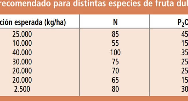 poda de nectarinos guia completa para un arbol saludable y productivo