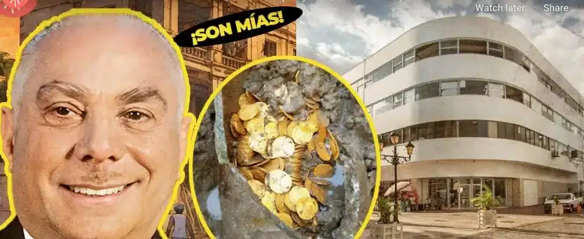 raices de magnolia el secreto de su extension y los riesgos que implican