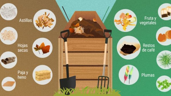 se puede plantar directamente en compost la guia definitiva