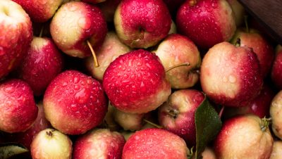 se pueden comer manzanas silvestres descubre sus usos culinarios y variedades comestibles