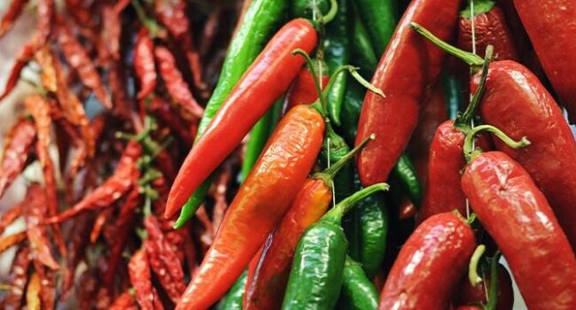 secar chiles como conservar el sabor del verano efb88f