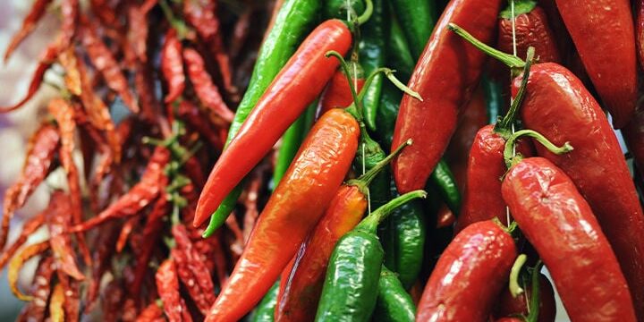 secar chiles como conservar el sabor del verano efb88f