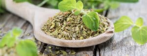 secar oregano guia paso a paso para disfrutar su sabor todo el ano