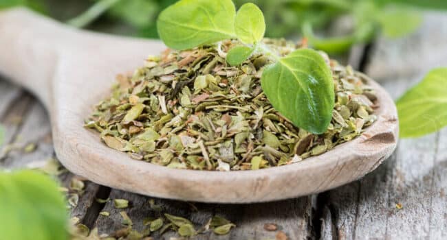 secar oregano guia paso a paso para disfrutar su sabor todo el ano