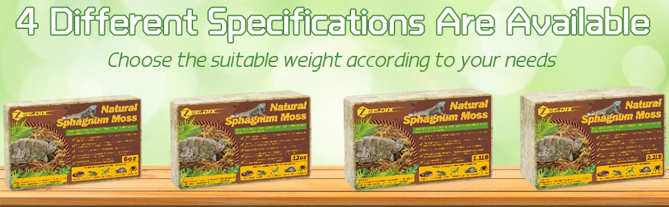 sphagnum peat moss vs sphagnum moss cual necesitas