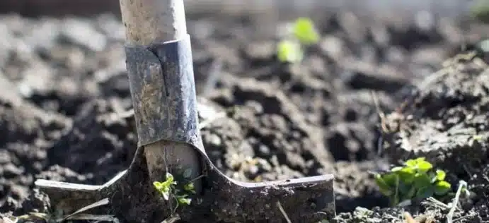 suelo acido como bajar la acidez y revivir tu jardin