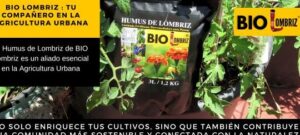 te de lombriz guia completa para fertilizar tus plantas