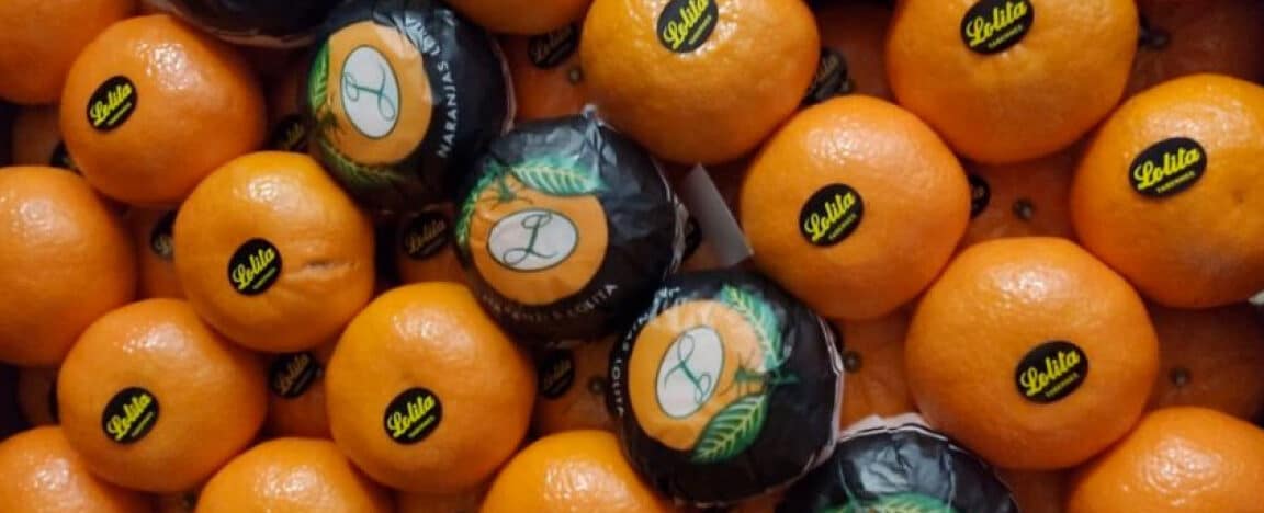 tipos de naranja descubre la increible variedad de este citrico