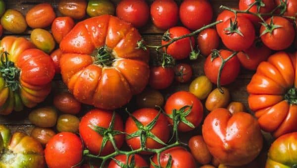 tomates amarillos menos acidos mas sabor y nutricion