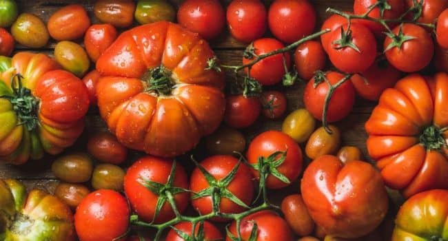 tomates amarillos menos acidos mas sabor y nutricion