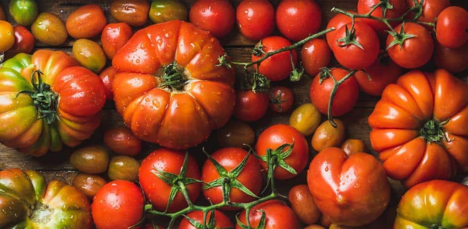 tomates amarillos menos acidos mas sabor y nutricion