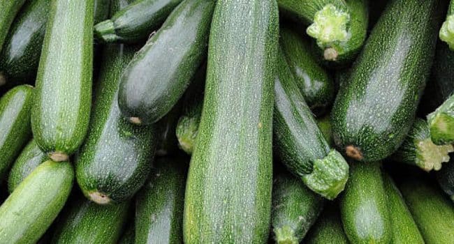 verduras ricas en vitamina a un escudo para tu salud