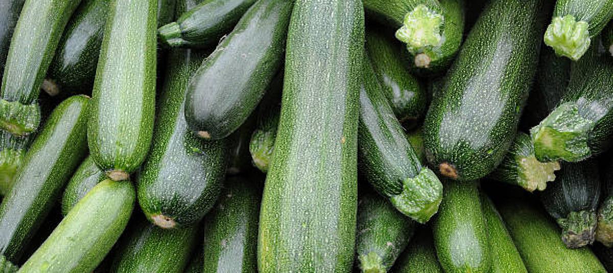 verduras ricas en vitamina a un escudo para tu salud