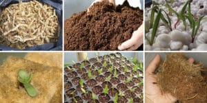 vermiculita para plantas cuanto agregar al suelo