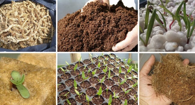 vermiculita para plantas cuanto agregar al suelo