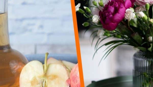 vinagre para flores trucos para mantenerlas frescas mas tiempo