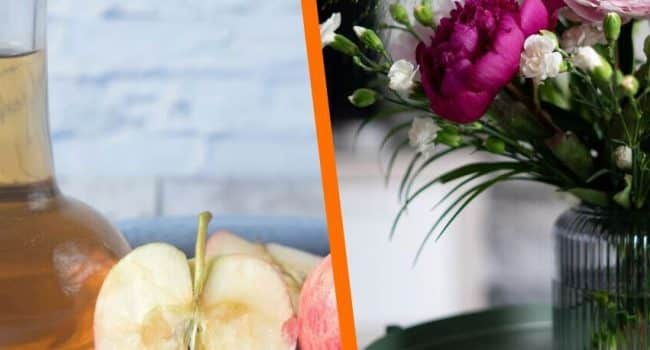 vinagre para flores trucos para mantenerlas frescas mas tiempo